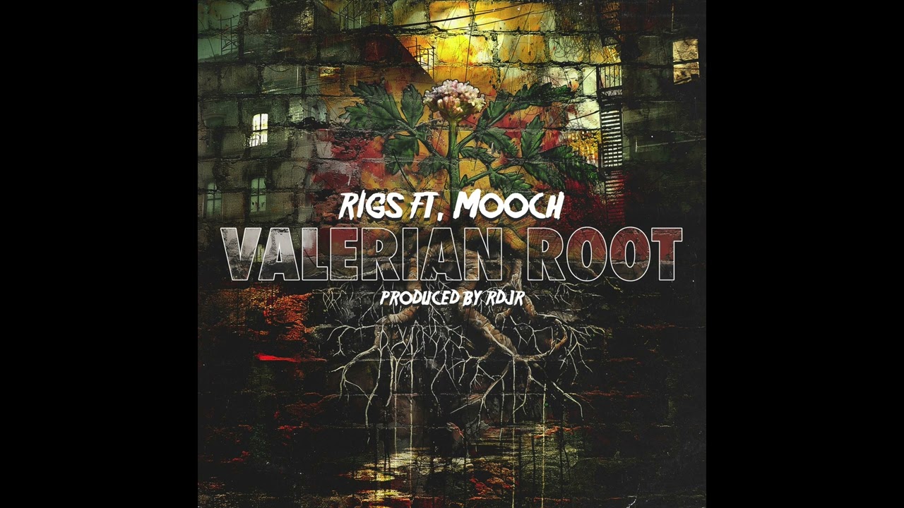 Rigs feat. Mooch – Valerian Root