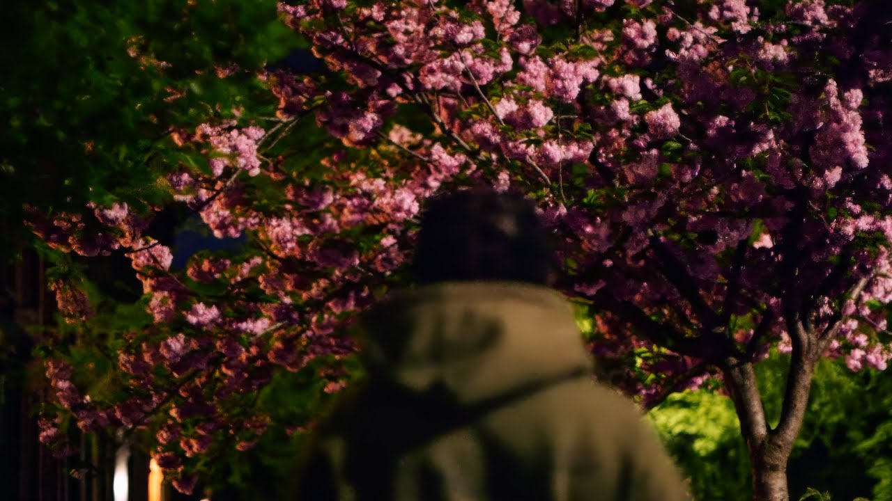 billy woods – Born Alone