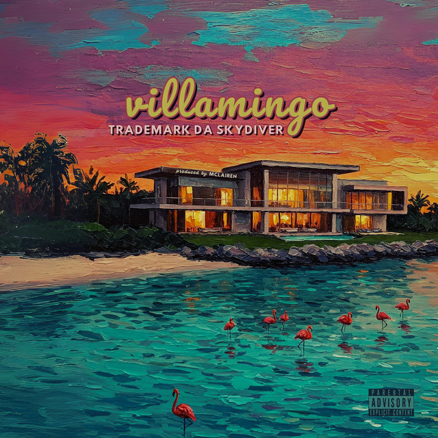 Trademark da Skydiver – Villamingo (13 tracks)