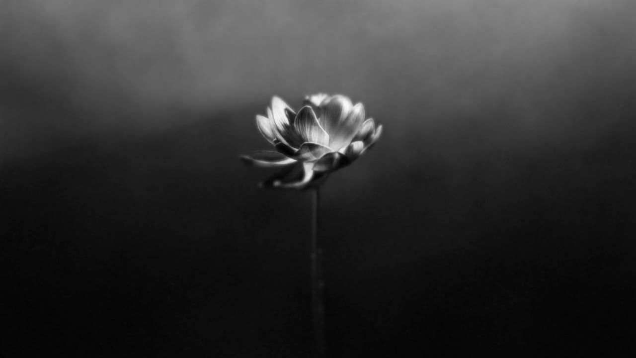 Little Simz – Lotus (13 tracks)