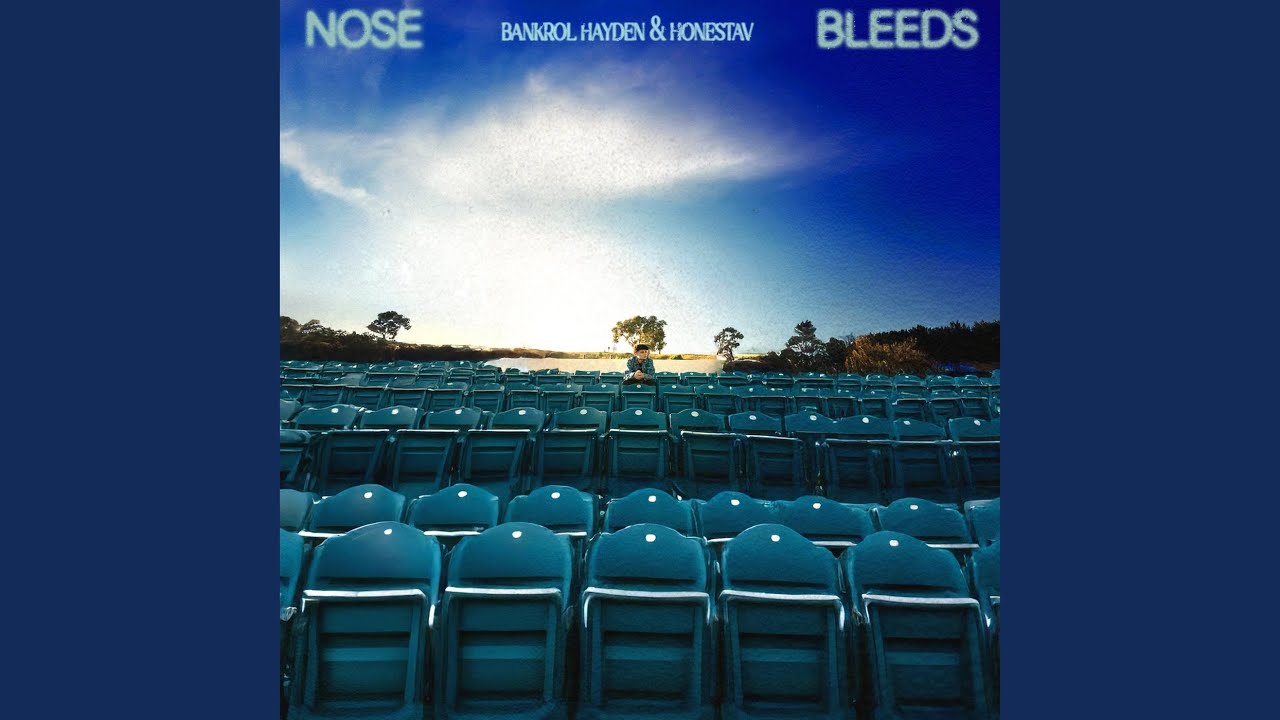 Bankrol Hayden & honestav - NoseBleeds