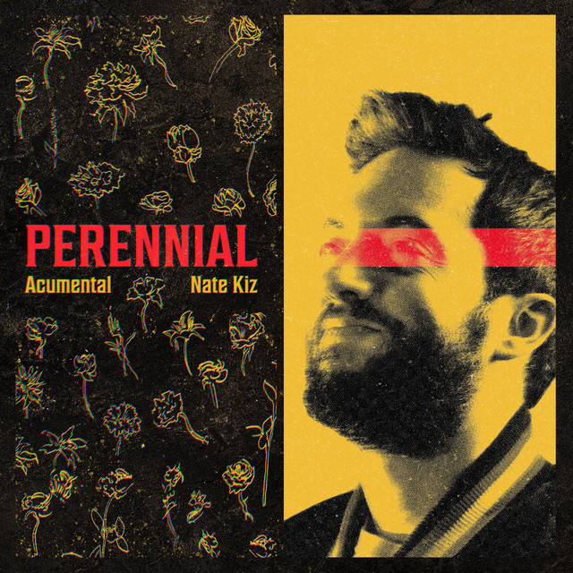 Acumental & Nate Kiz - Perennial (12 tracks)