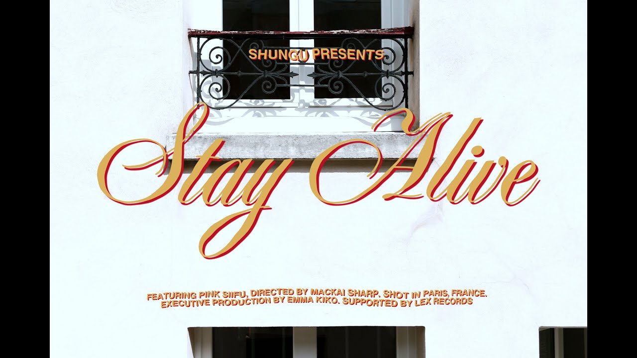 ShunGu feat. Pink Siifu - Stay Alive