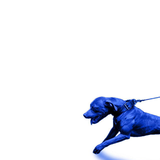 JasonMartin & Mike & Keys – A Hit Dog Gon Holla (11 tracks)