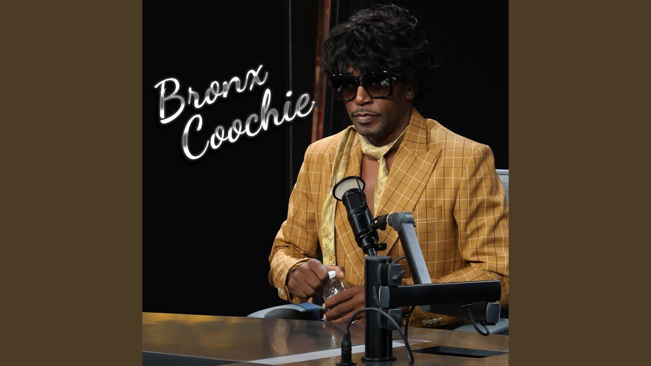 Cam'ron - Bronx Coochie