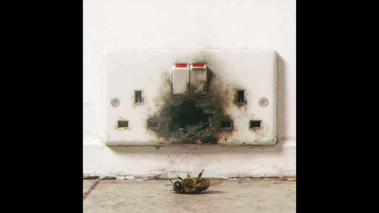 Chip – Plugged Out