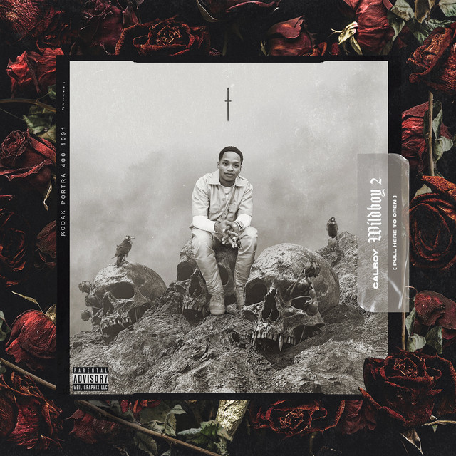 Calboy – Wildboy 2 (30 tracks)