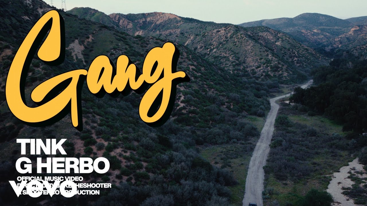 Tink & G Herbo - GANG