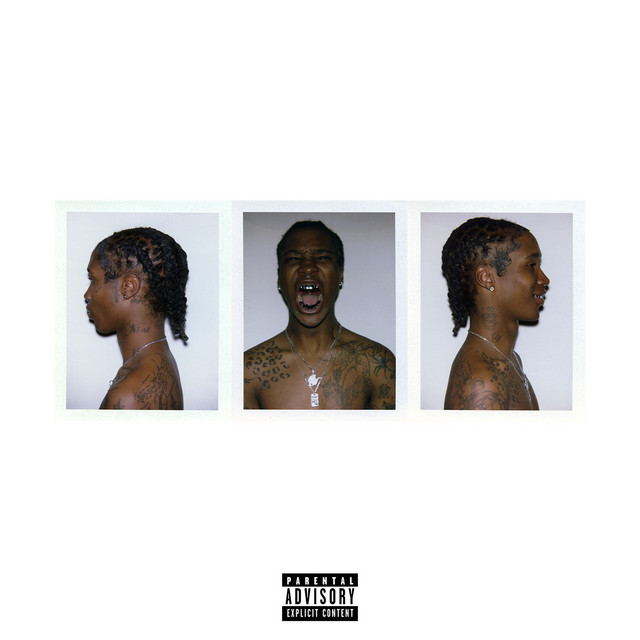 Nine Vicious – EMOTIONS (23 tracks)