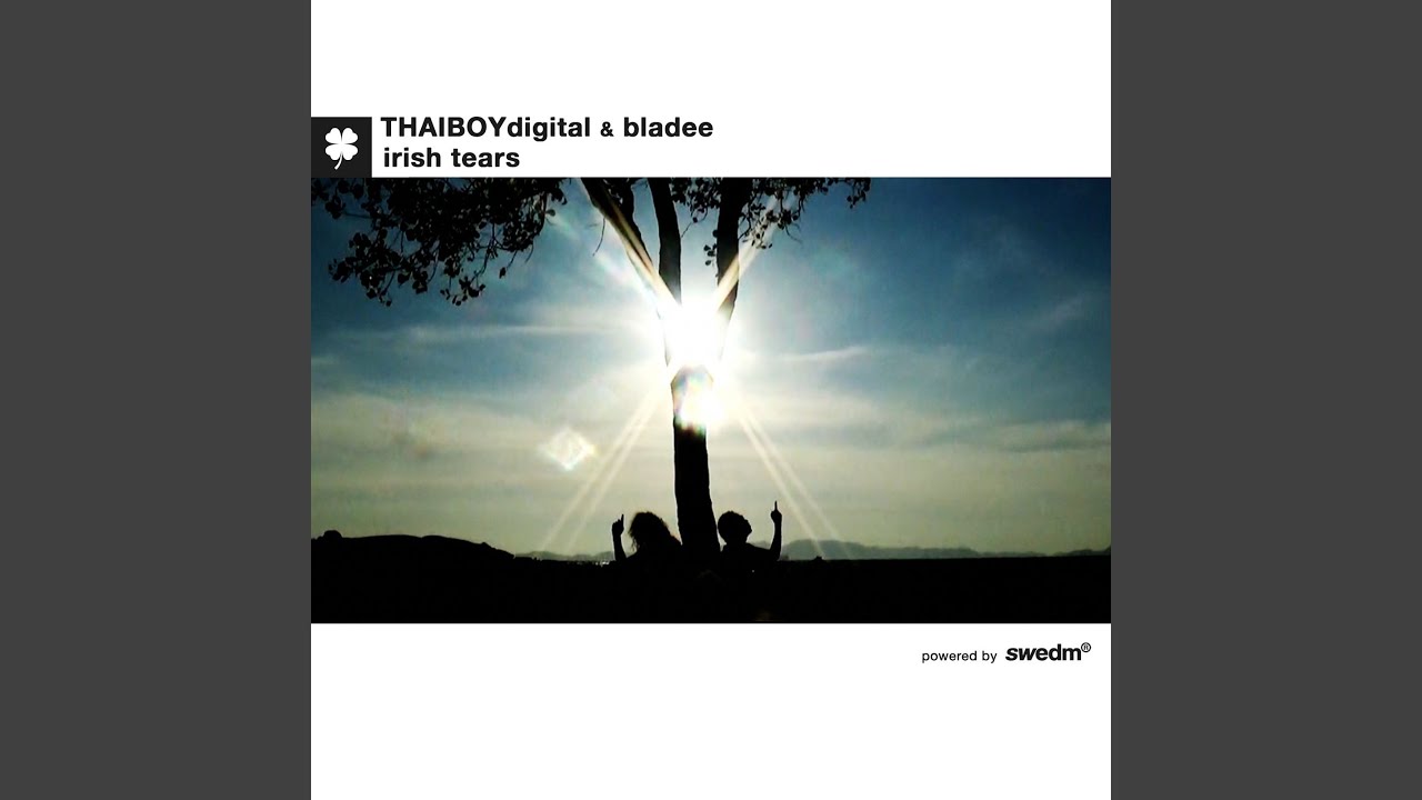 Thaiboy Digital & Bladee – Irish Tears