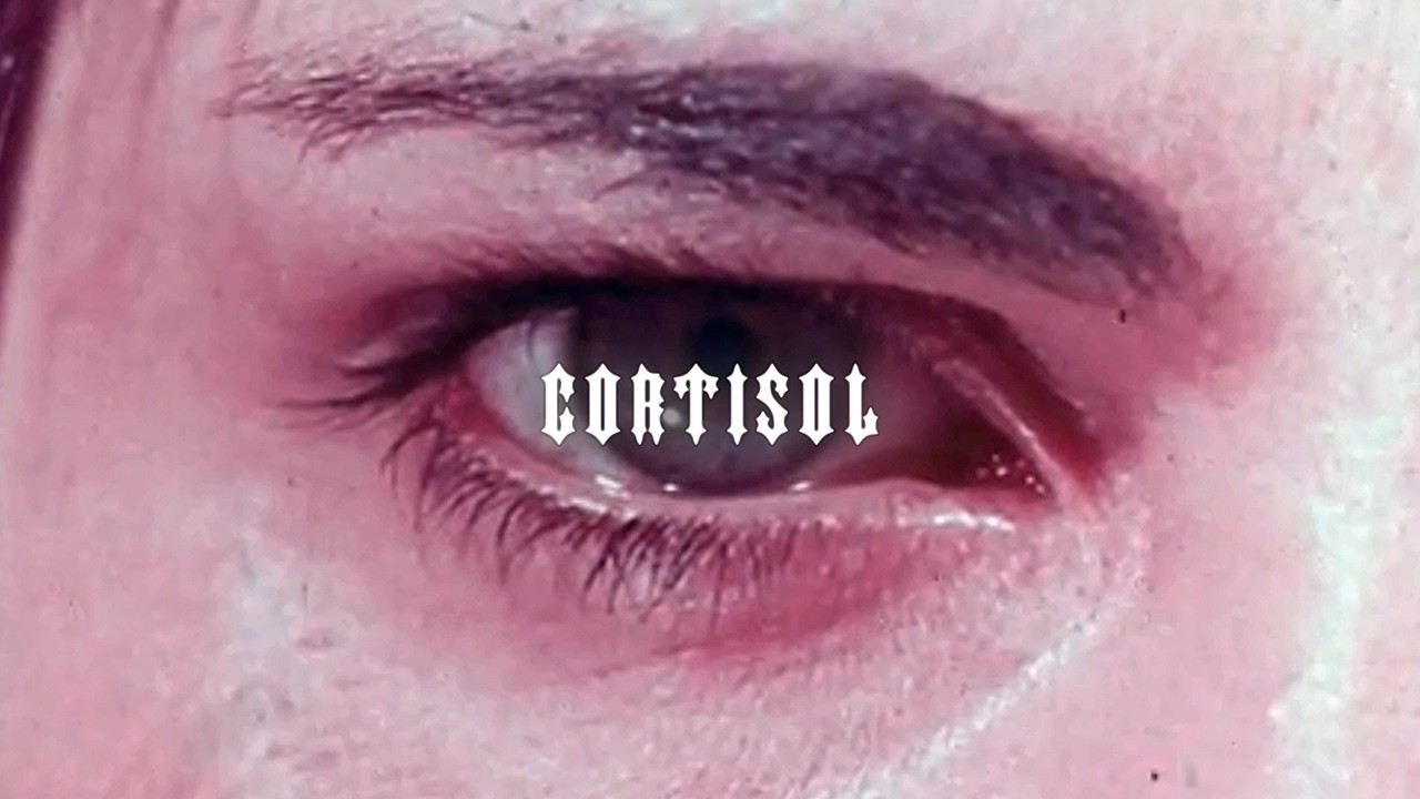 Scrim – cortisol