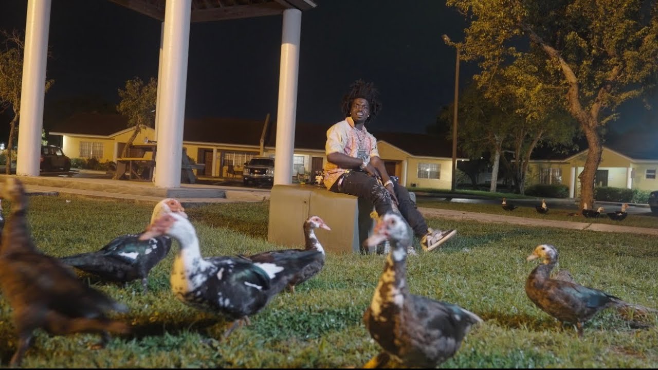 Kodak Black – Lil Birdie