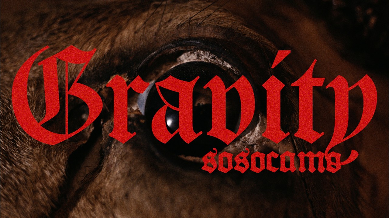 sosocamo – gravity